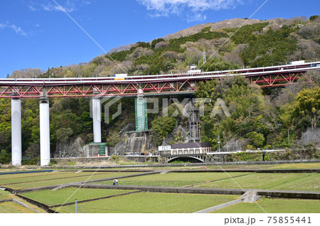 桜咲く頃の御殿場線山北町 75855441