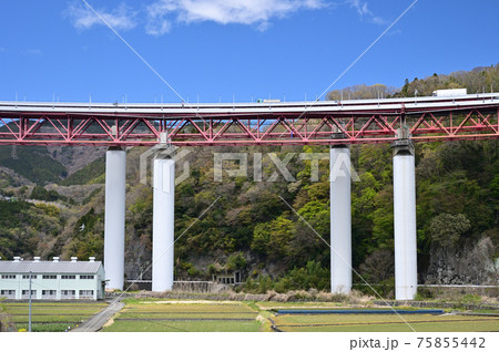 桜咲く頃の御殿場線山北町 75855442