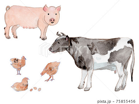 00 綺麗 陶器 キャニスター 6個セット 動物 ぶた 牛 イラスト