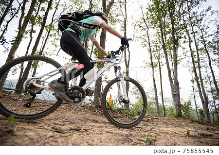 Woman cyclist cycling on mountain top forest trail 75855545