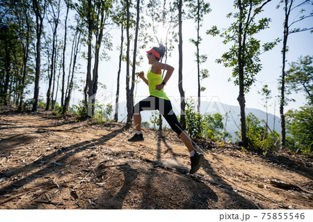 Fitness woman trail runner running on sunrise tropical forest mountain peak 75855546