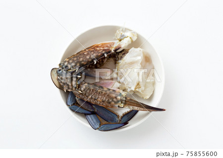 ワタリガニ 75855600