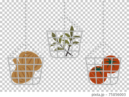 Illustration of vegetables in a wire basket Illustration of vegetables in a wire basket 75856003