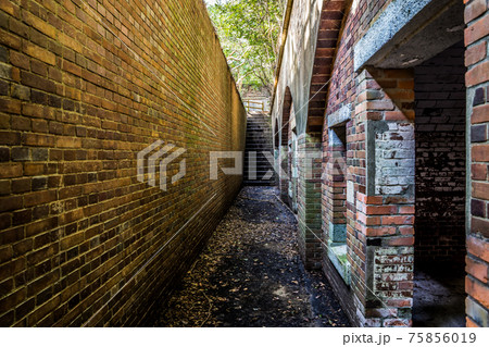 和歌山市にある戦争遺跡。深山砲台跡 和歌山市にある戦争遺跡。深山砲台跡 75856019