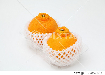 デコポン デコポン 75857654