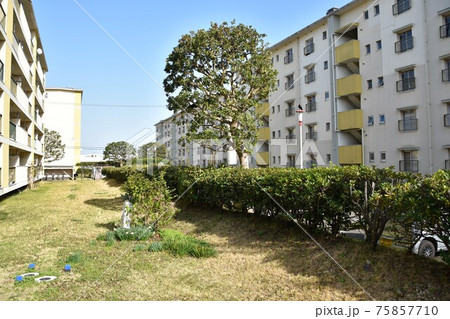 消えゆく昭和の団地 75857710