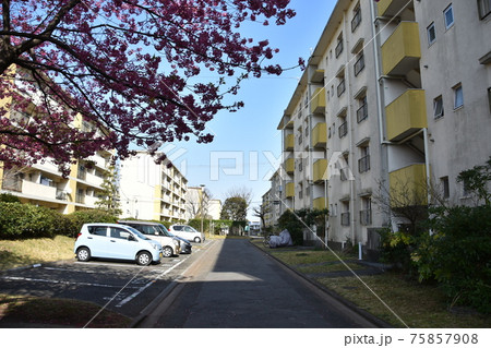 消えゆく昭和の団地 75857908