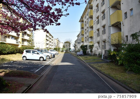 消えゆく昭和の団地 75857909