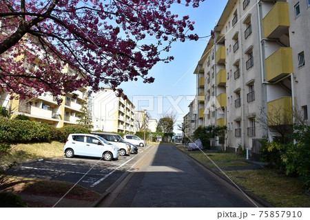 消えゆく昭和の団地 75857910