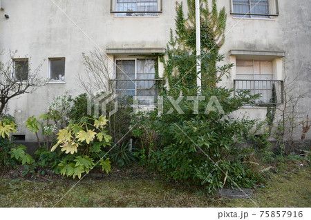 消えゆく昭和の団地 75857916