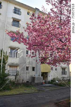 消えゆく昭和の団地 75857918