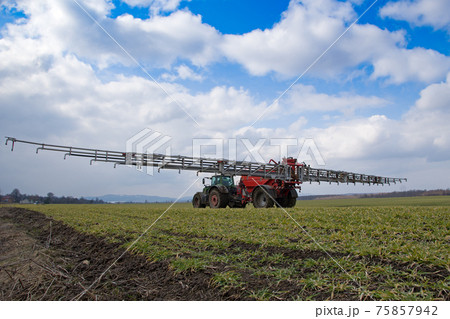 tractor spraying wheat tractor spraying wheat 75857942