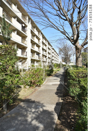 消えゆく昭和の団地 75858188