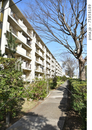 消えゆく昭和の団地 75858189