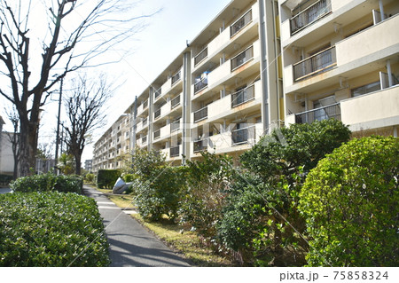 消えゆく昭和の団地 消えゆく昭和の団地 75858324