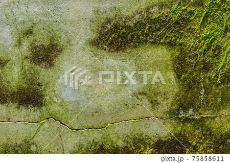 Old concrete wall and the background 75858611