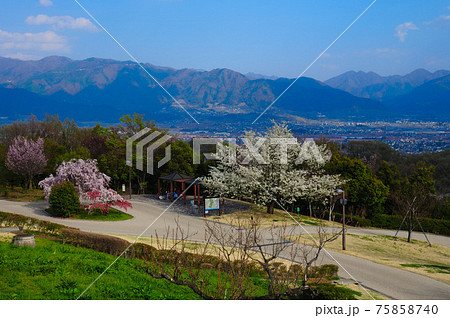 春の笛吹川フルーツ公園 75858740