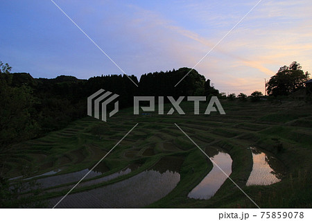 棚田の夕暮れ風景　大山千枚田（千葉県） 75859078