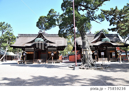 住吉大社　第三本宮と第四本宮　(大阪市住吉区) 75859236