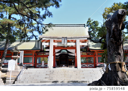 住吉大社 角鳥居(住吉鳥居)・幸壽門 (大阪市住吉区) 住吉大社 角鳥居(住吉鳥居)・幸壽門 (大阪市住吉区) 75859548