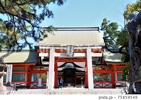 住吉大社　角鳥居(住吉鳥居)・幸壽門　(大阪市住吉区) 75859549