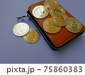 仮想通貨　ビットコイン 75860383
