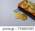 仮想通貨　ビットコイン 75860385