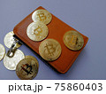 ビットコイン　仮想通貨 75860403