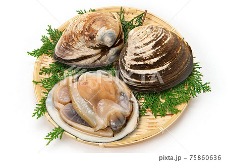 北海道産、生のホッキ貝 75860636