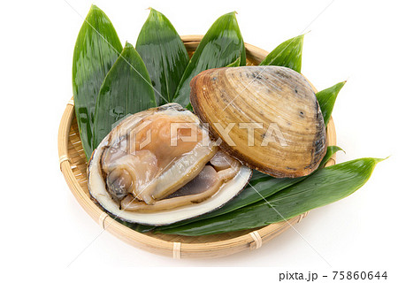 生のホッキ貝 生のホッキ貝 75860644