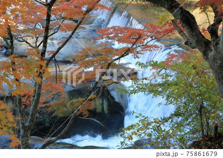 滝と紅葉 滝と紅葉 75861679