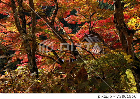 紅葉の山里 紅葉の山里 75861956