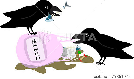 燃えるゴミの袋を突っつくカラス 燃えるゴミの袋を突っつくカラス 75861972