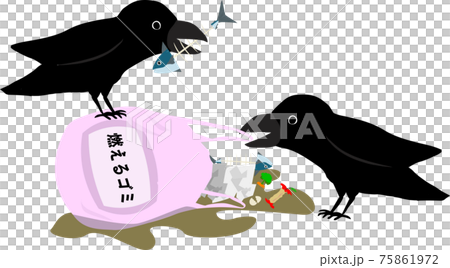 一隻烏鴉戳著一袋燃燒的垃圾 一隻烏鴉戳著一袋燃燒的垃圾 75861972
