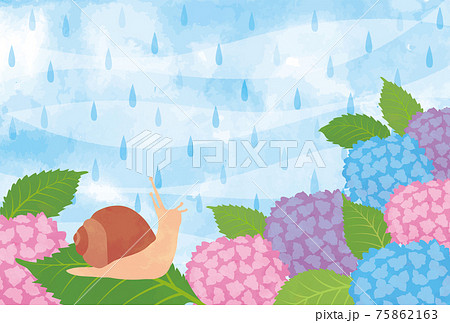 水彩画風の紫陽花と雨でカタツムリで表現した梅雨のイメージ素材のイラスト素材