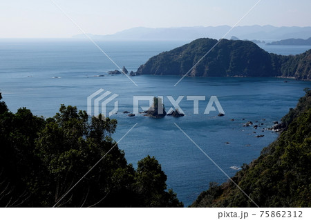 高知県立横浪自然公園　横浪半島 75862312