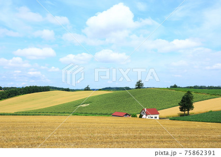 美瑛町　赤い屋根の家と田園風景 75862391