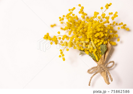 ミモザ ミモザ 75862586