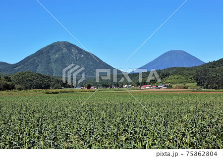 尻別岳・羊蹄山（北海道喜茂別町） 75862804