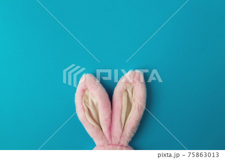 Pink Easter bunny ears on the blue background Pink Easter bunny ears on the blue background 75863013