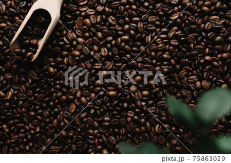 Background with array of dry coffee beans 75863029