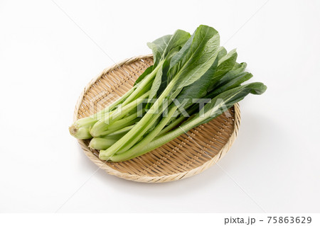 小松菜 白バック スタジオ撮影 小松菜 白バック スタジオ撮影 75863629