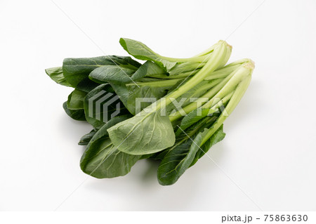 小松菜 白バック スタジオ撮影 小松菜 白バック スタジオ撮影 75863630