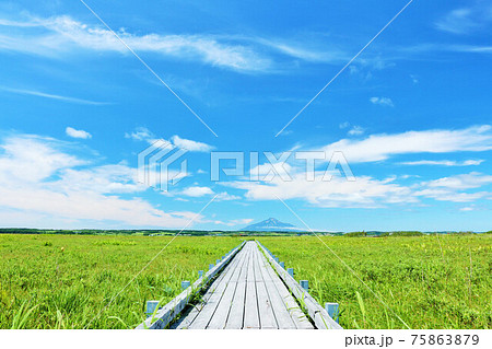 北海道 夏の青空とサロベツ原野 北海道 夏の青空とサロベツ原野 75863879