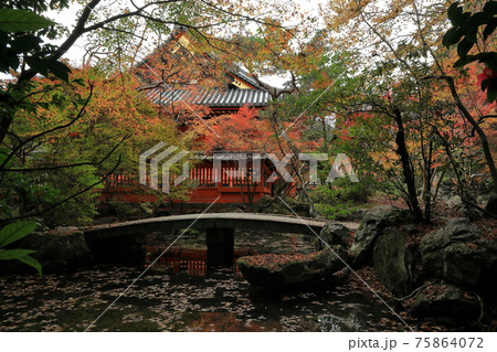 弁才天前庭の橋と紅葉 75864072