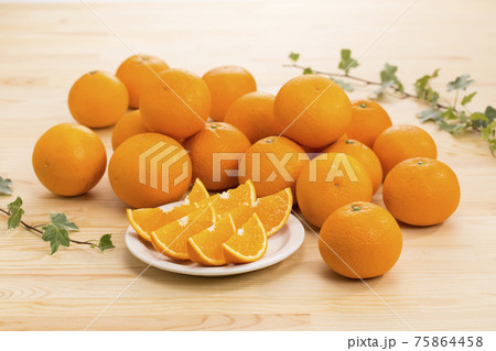 清見タンゴール 75864458