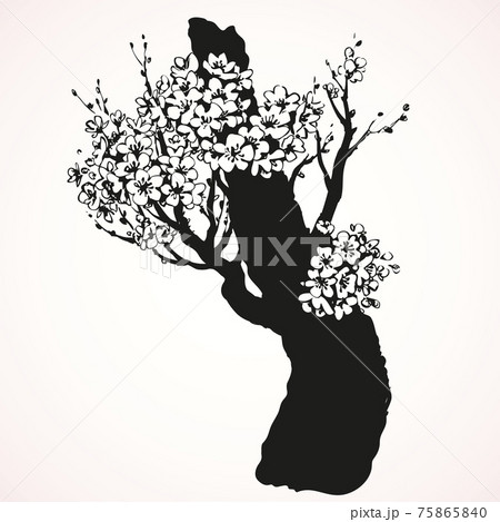 Spring flowering tree. Vector drawing 75865840