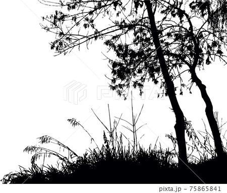 Silhouette of trees by the lake. Vector drawing Silhouette of trees by the lake. Vector drawing 75865841