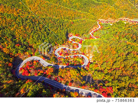 紅葉 秋 道路 75866363