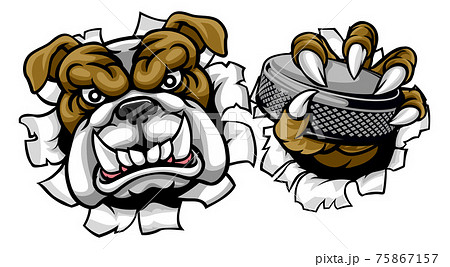 Bulldog Ice Hockey Player Animal Sports Mascot 75867157